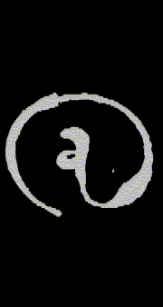 kontakt